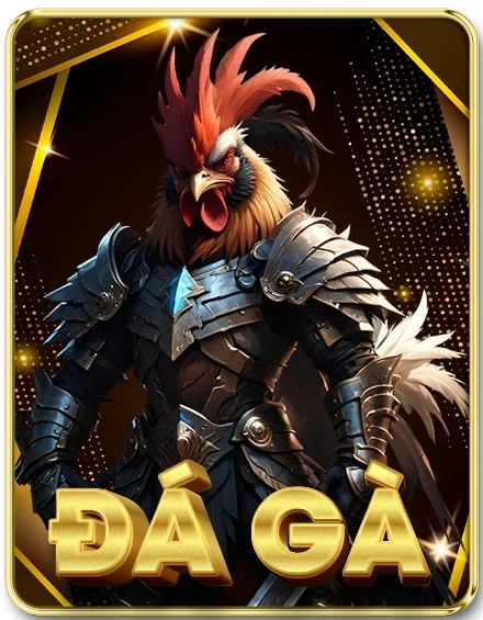 đá gà