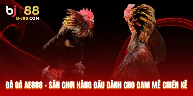 Đá Gà AE888 – Sân Chơi Hàng Đầu Dành Cho Đam Mê Chiến Kê