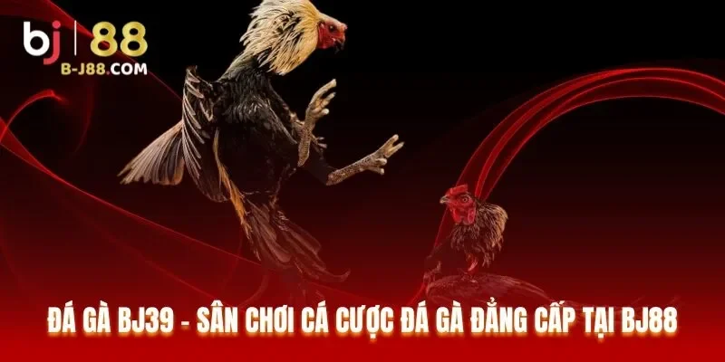 Đá Gà BJ39 – Sân Chơi Cá Cược Đá Gà Đẳng Cấp Tại BJ88