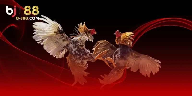 Đôi nét về thương hiệu BJ88