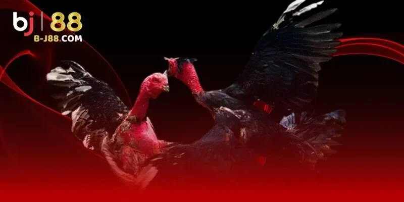 Khái quát chính sách chơi có trách nhiệm tại BJ88