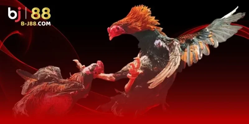 Lợi ích khi bạn chơi có trách nhiệm tại BJ88