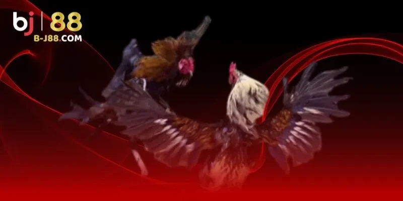 Quy định miễn trừ trách nhiệm cơ bản tại nhà cái BJ88