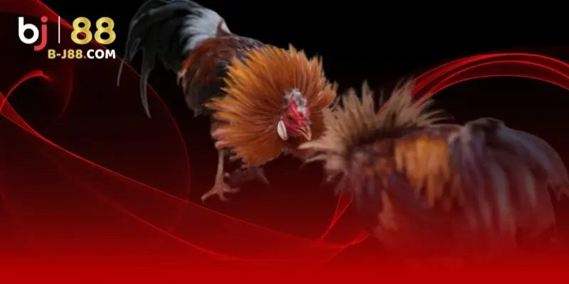 Quy tắc chơi có trách nhiệm mà hội viên cần thực hiện